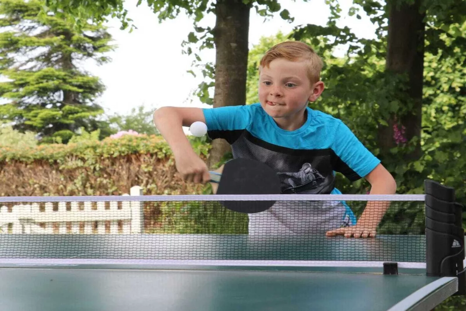 218583-Gebieden zomer 5km