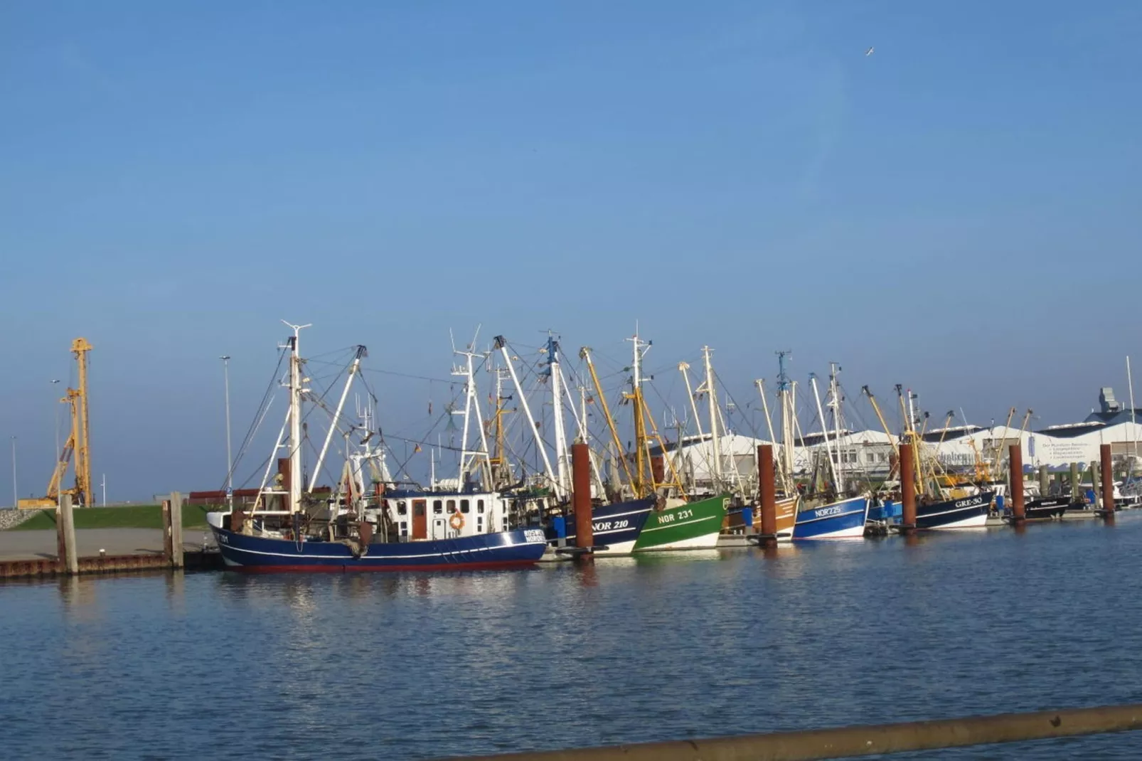 90459-Gebieden zomer 5km