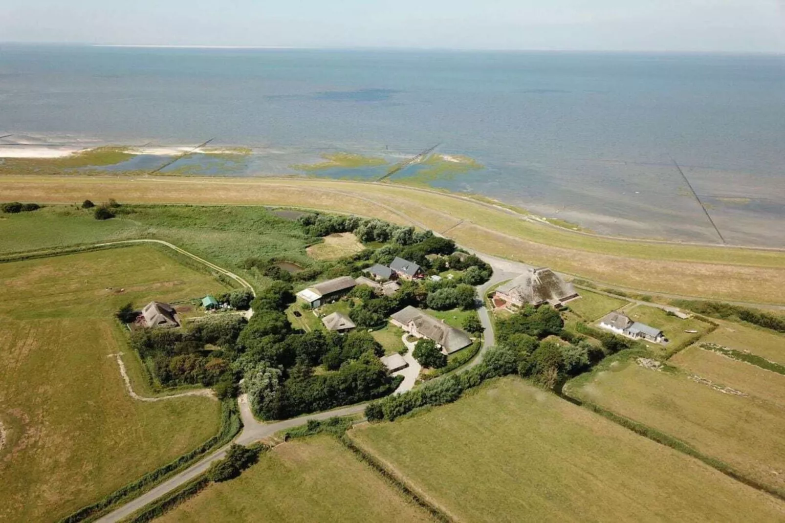 66667-Gebieden zomer 1km