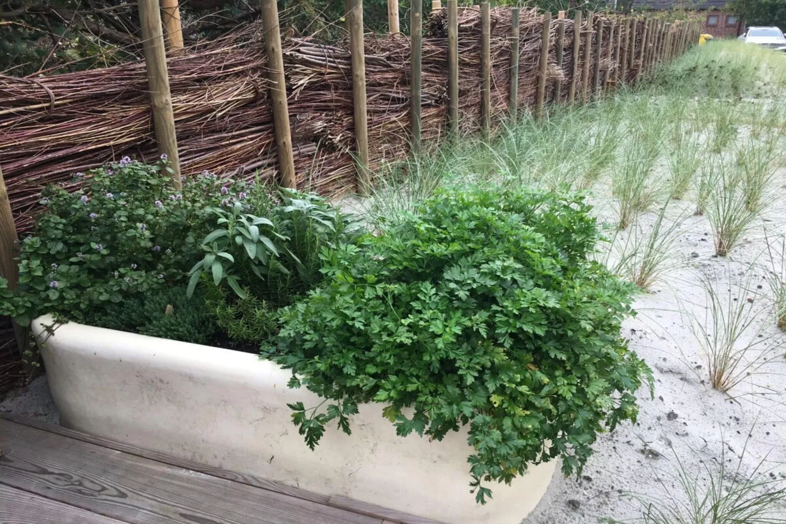 162859 - Tuinen zomer