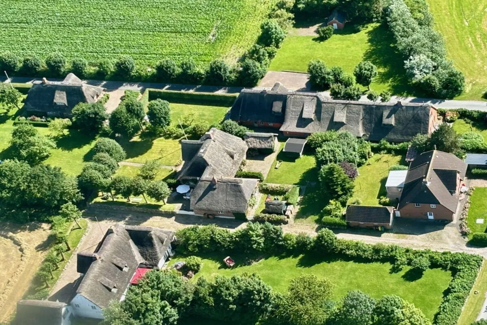 573535 - Buitenkant zomer