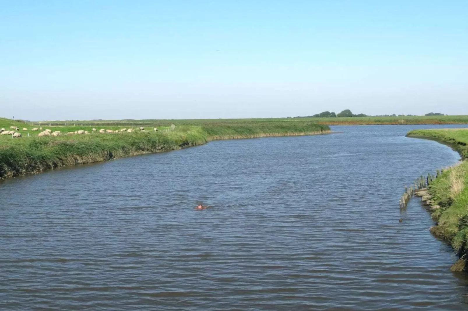 81405-Gebieden zomer 5km