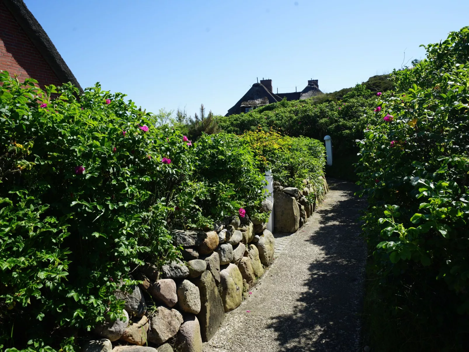 Dikstig - D8L - in Kampen auf Sylt-Buiten
