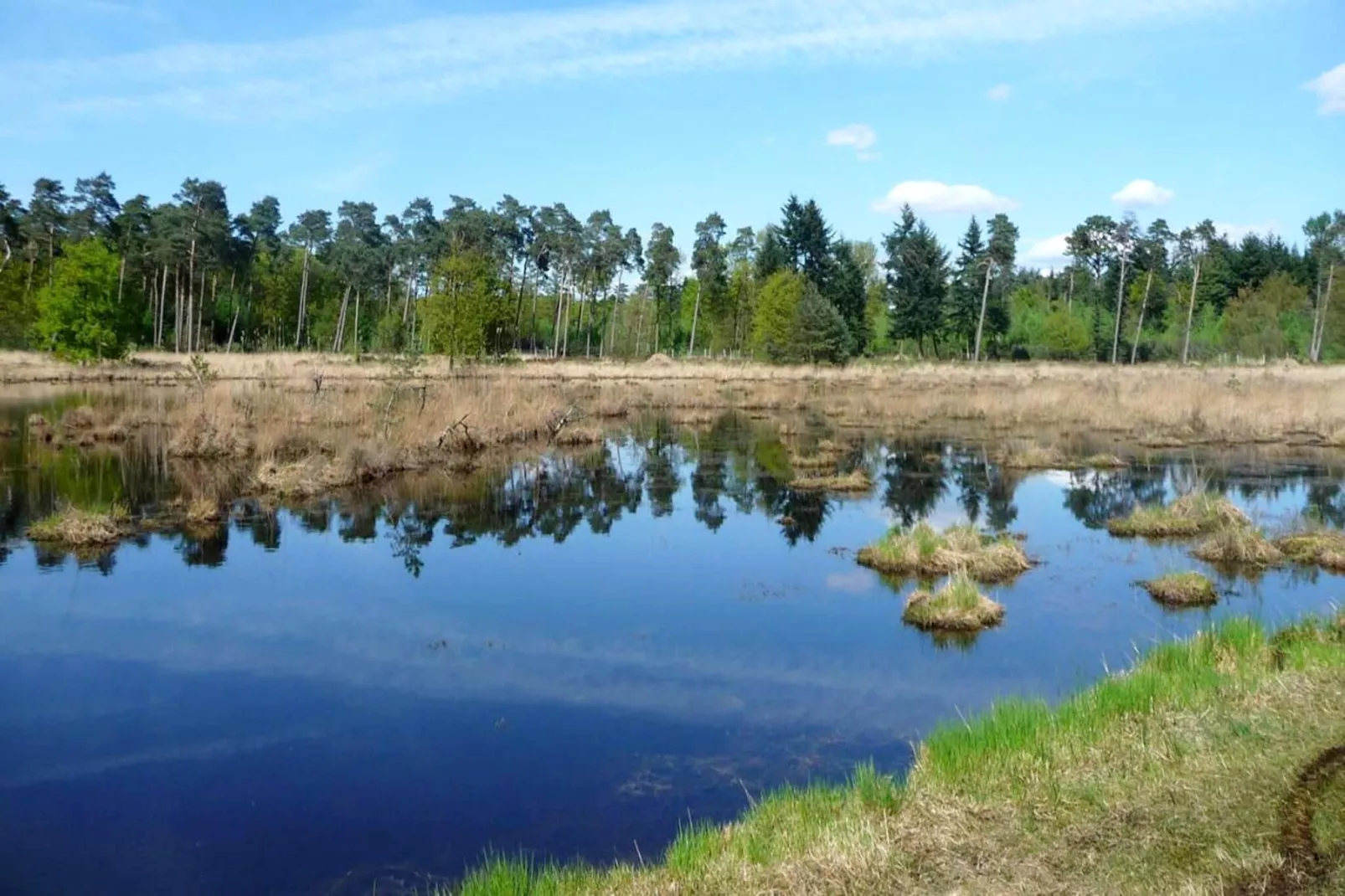 Luxe Lodges-Gebieden zomer 1km