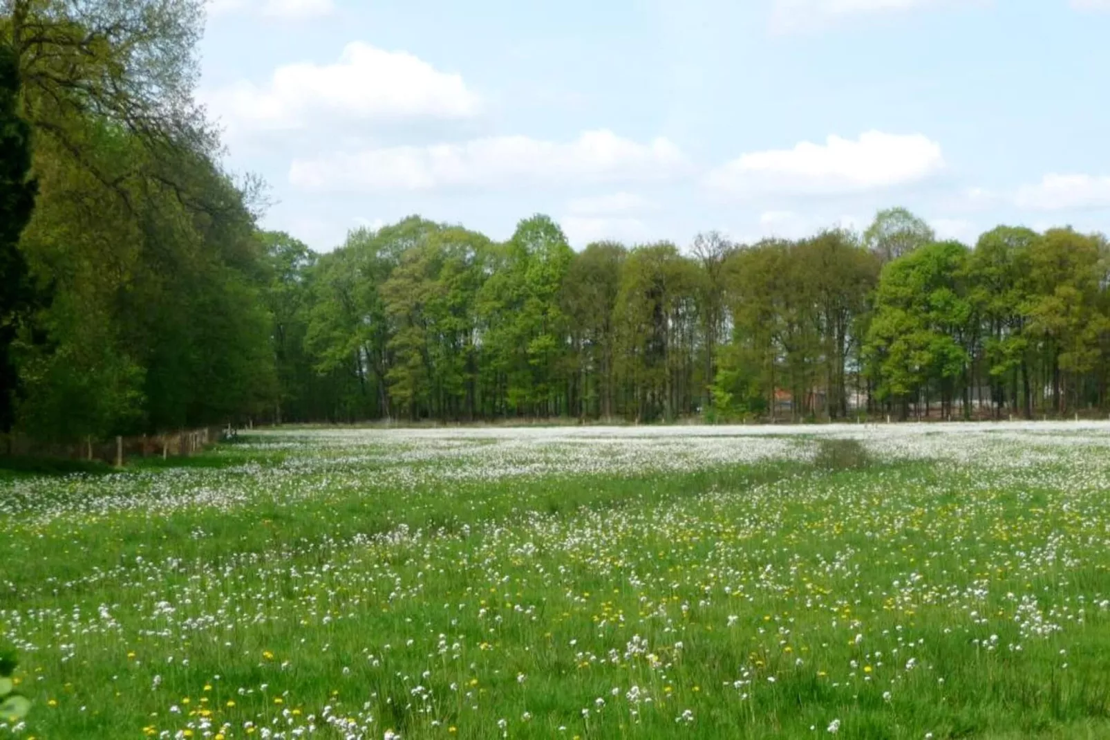 O'Hara Lodges - 6p-Gebieden zomer 5km