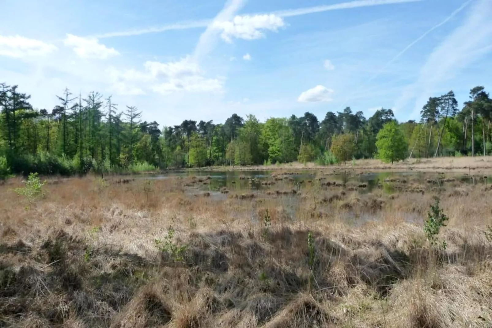 Sun Lodges - 6p-Gebieden zomer 5km