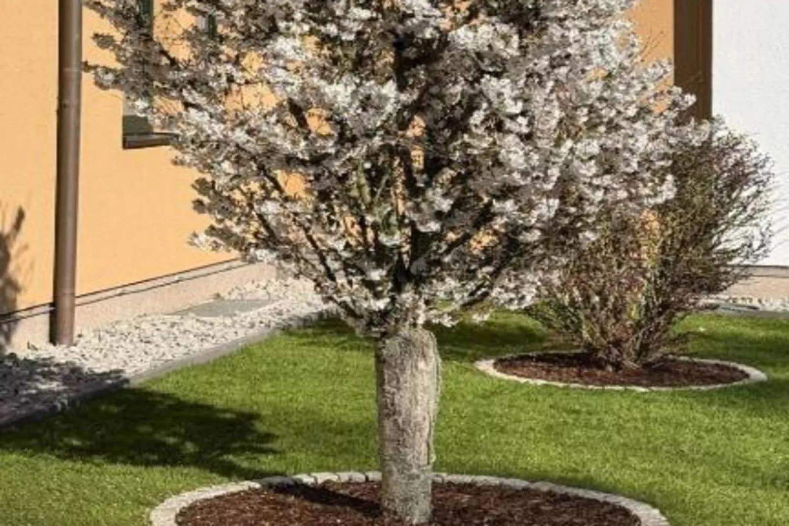 Standard Double Room-Tuinen zomer