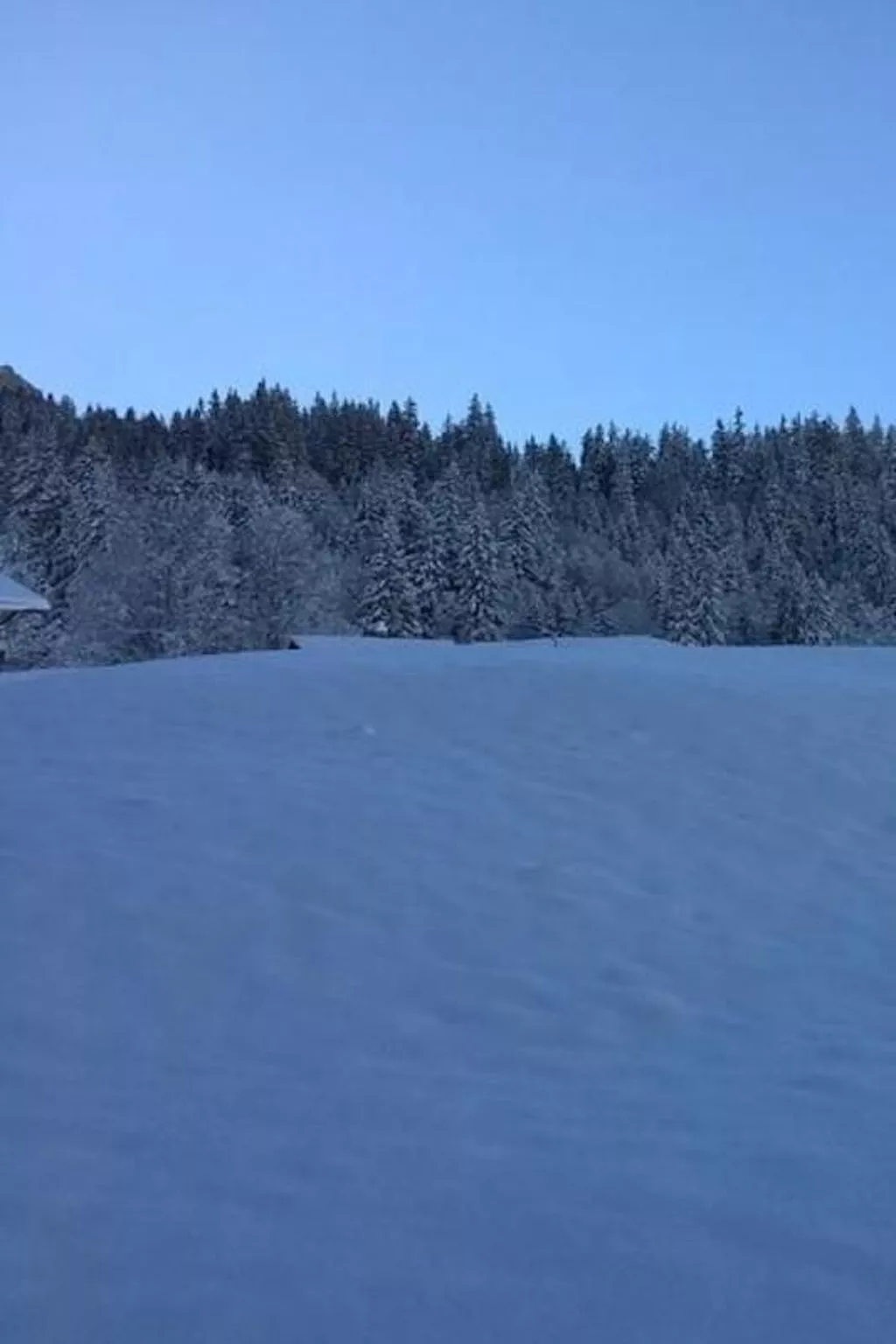 Im grünen - Image-tags.info