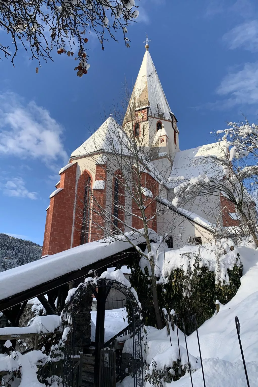 Chalet Elsa Murau - Buiten