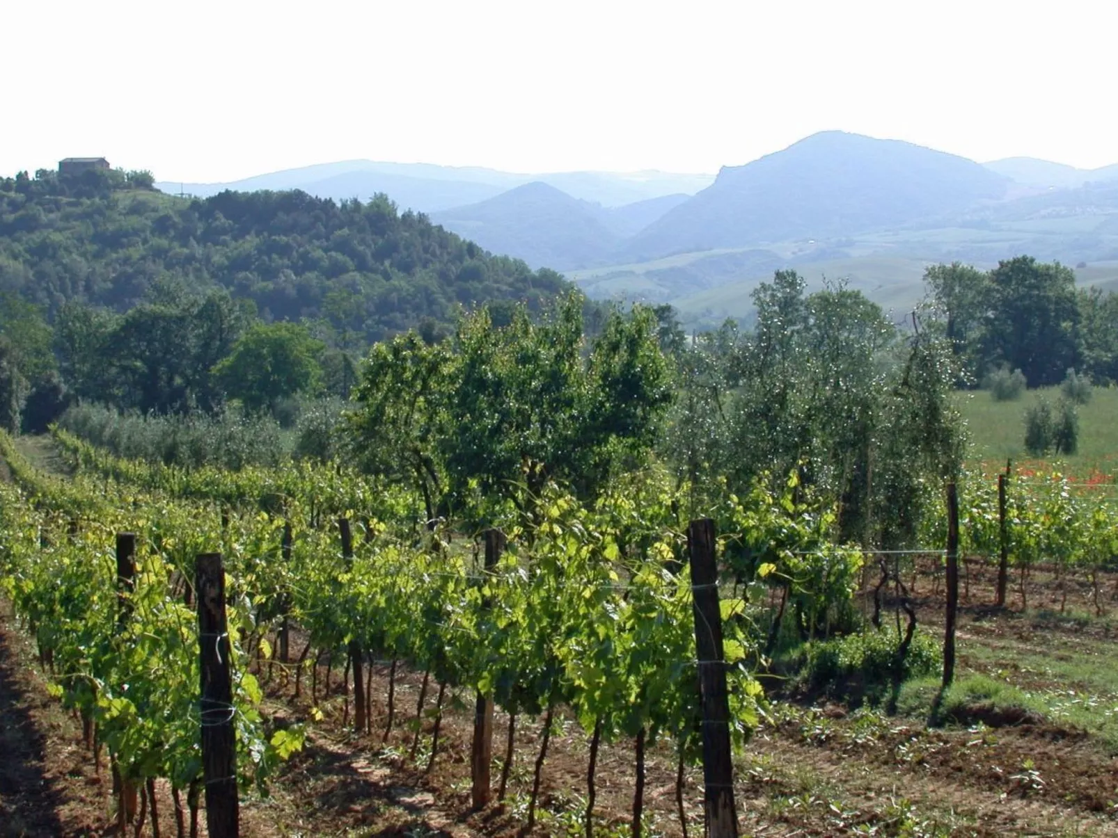 La Cisterna - Image-tags.info