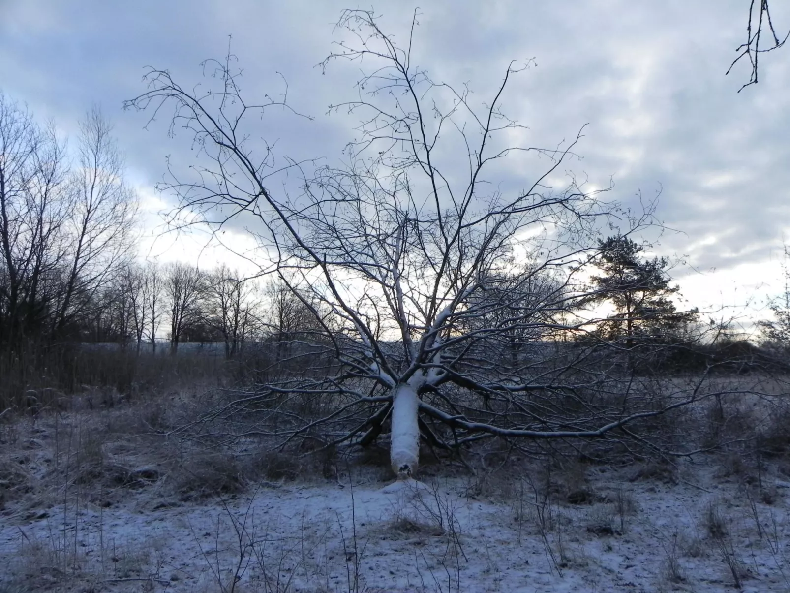 Zwei-Zimmer-Wohnung mit Wintergarten - Image-tags.info