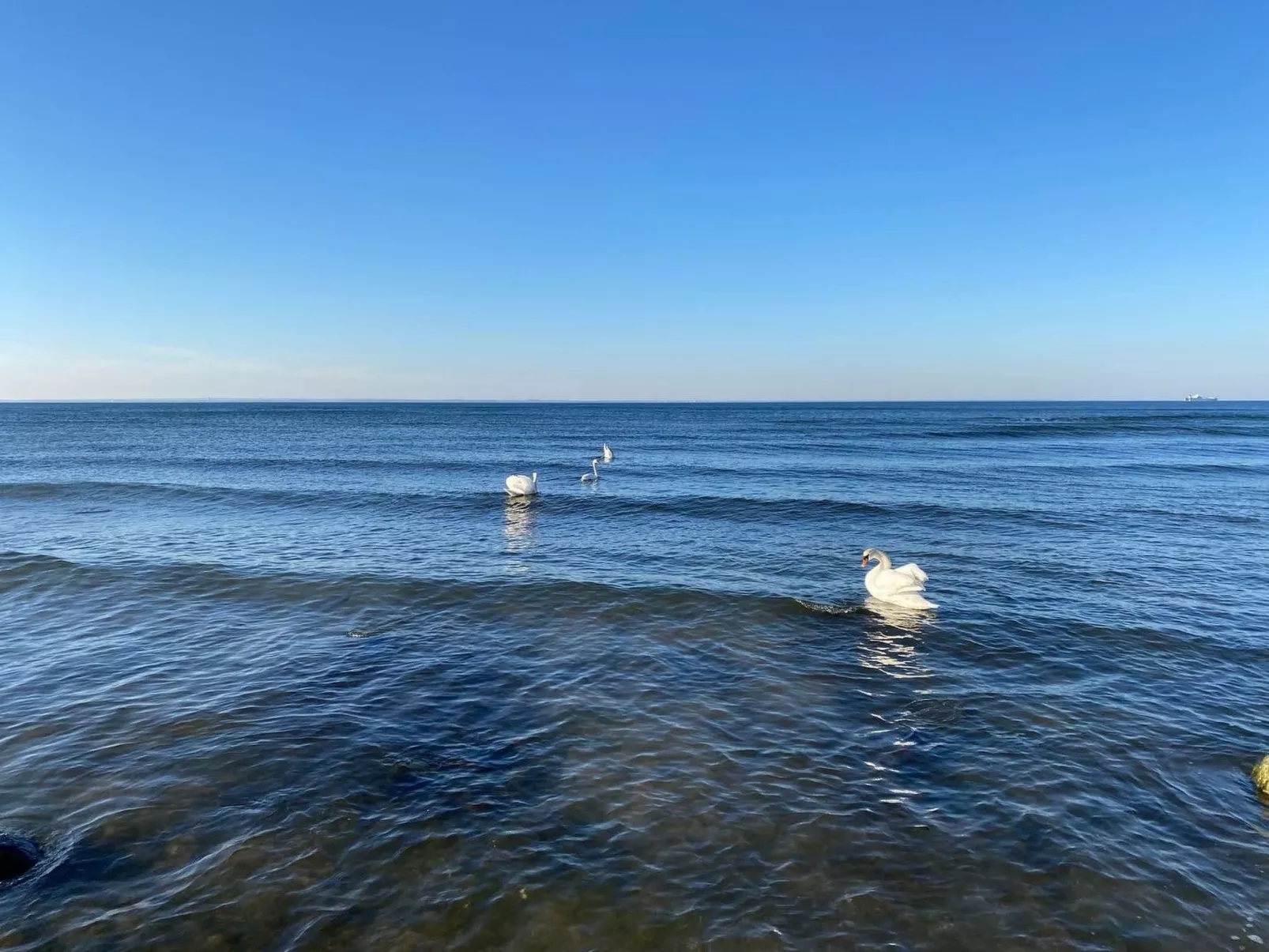 Reethus Linda am Schloß Groß Schwansee - Image-tags.info