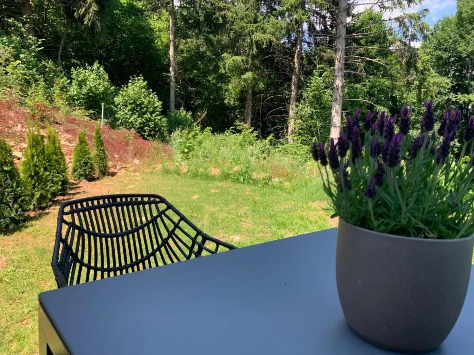 Fewo Am Sommerberg - Image-tags.info