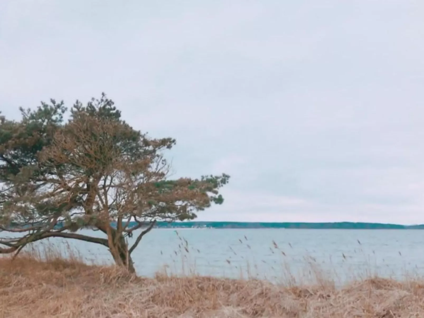 Sealoft auf der Ostsee Floatinghouse Trinity - Image-tags.info