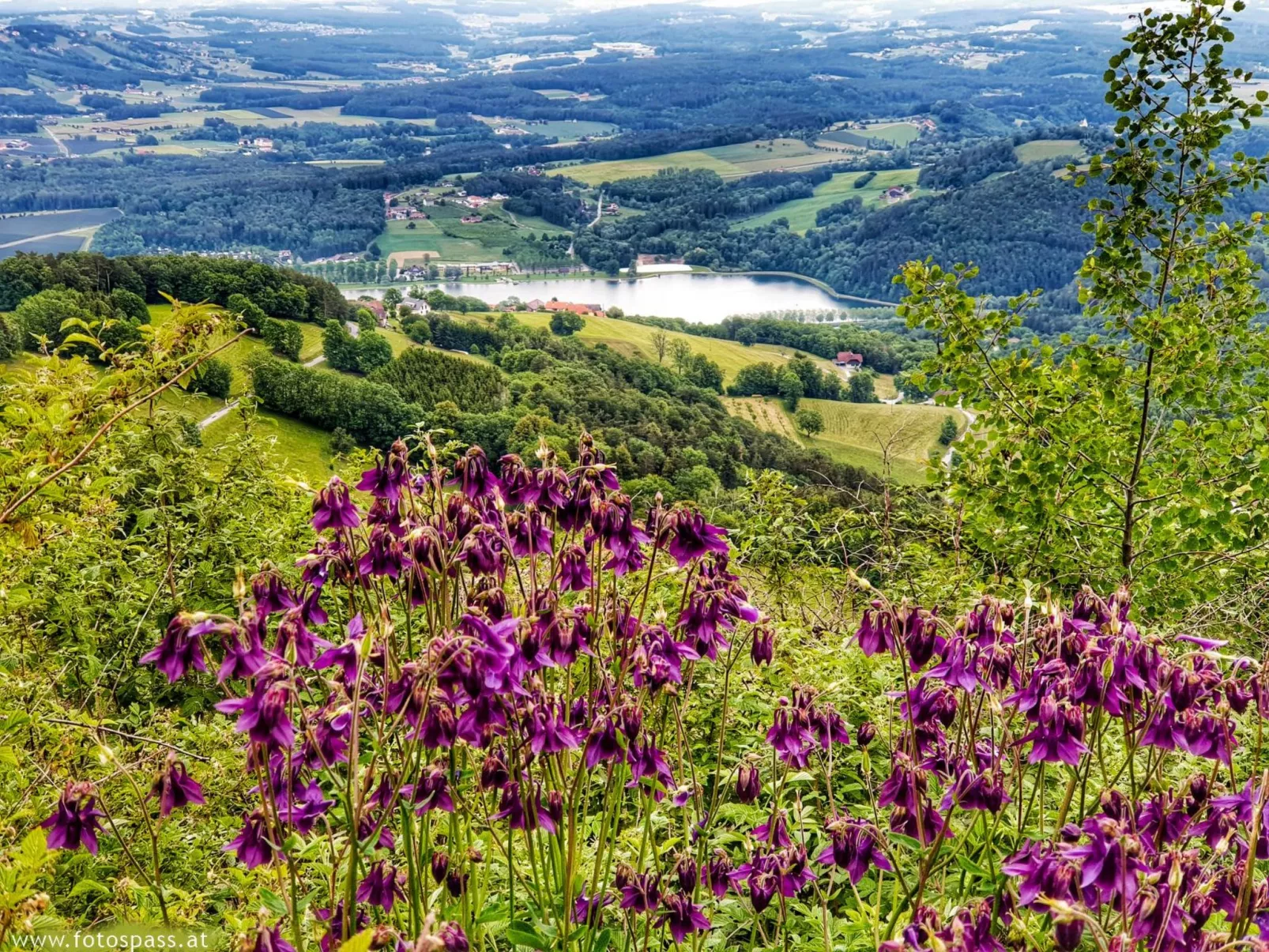 Große Ferienwohnung in Stubenberg am See mit GenussCard-Image-tags.info