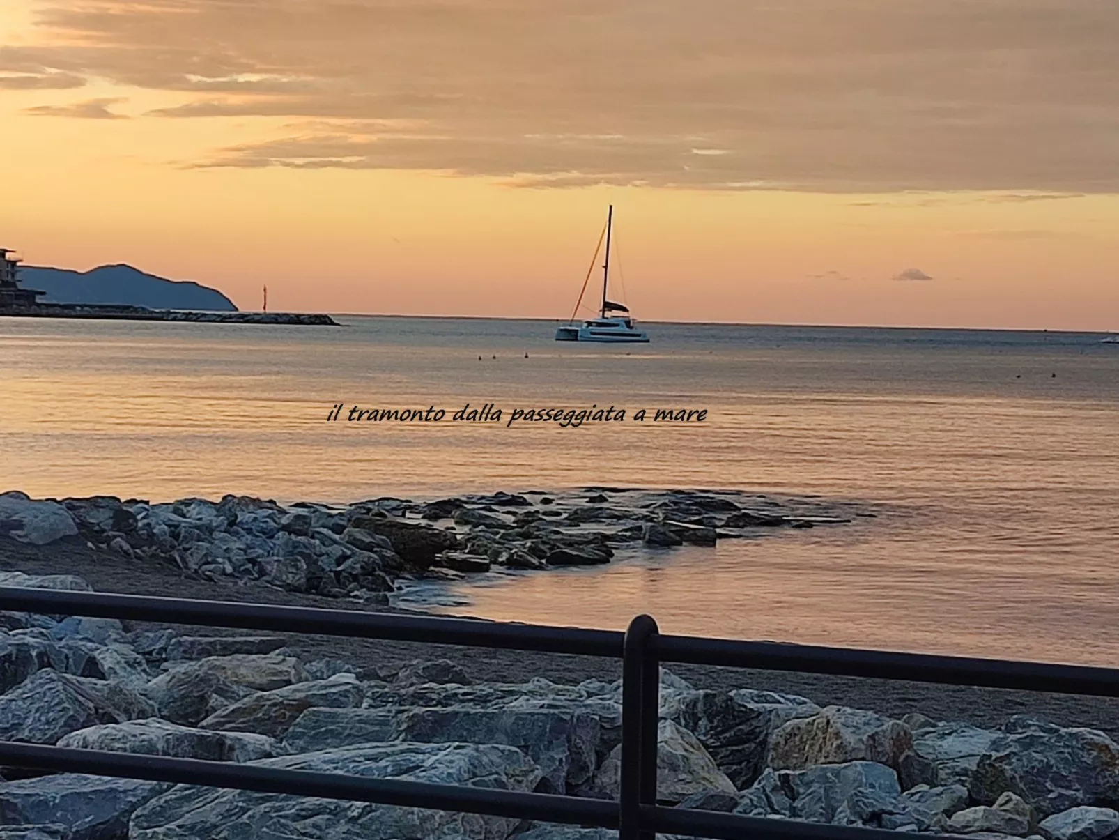 Seestern - Image-tags.info