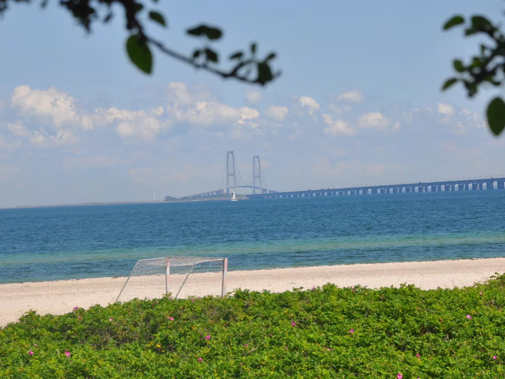 Skaerven Beachfront Wohnung C - Image-tags.info