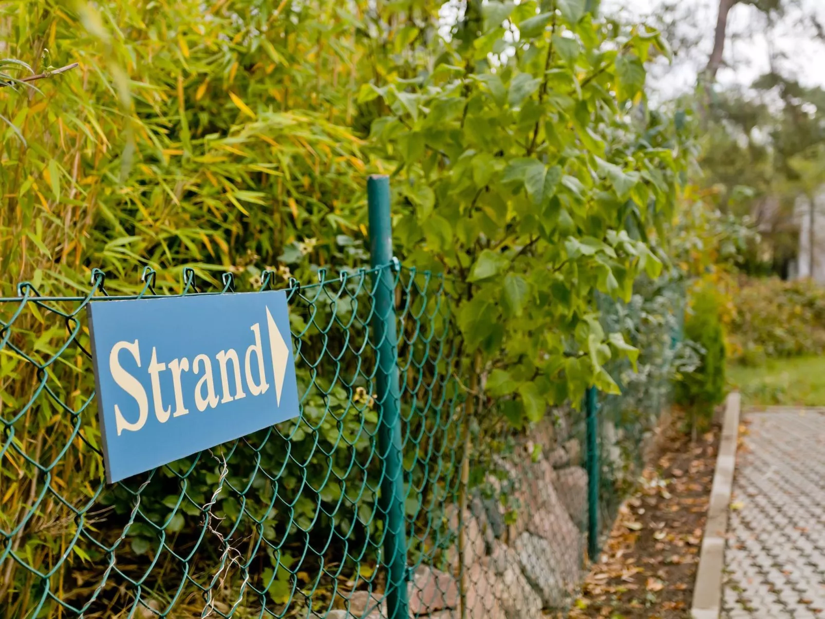 Dünenblick in Breege - Image-tags.info