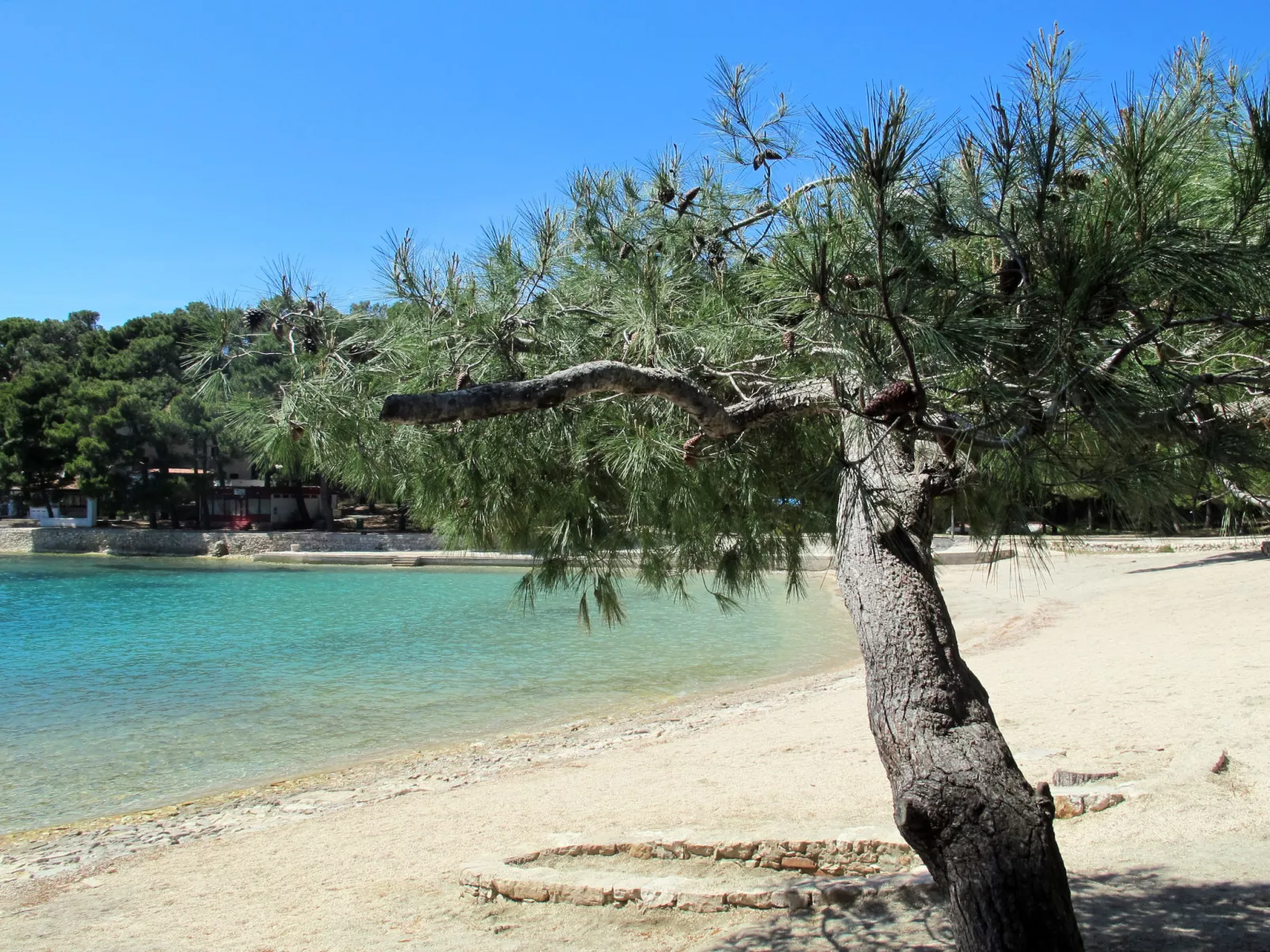 Wohnung in Veli Lošinj mit schönem Garten - Omgeving