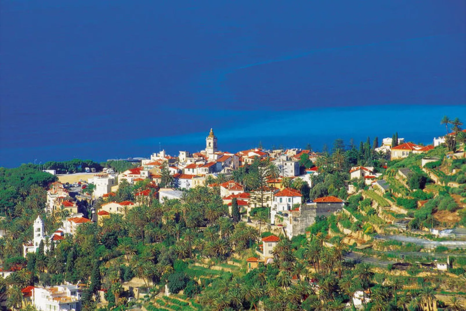 RESIDENCE I MORELLI - THREE-ROOM APT 6 PAX TR1 - Gebieden zomer 5km