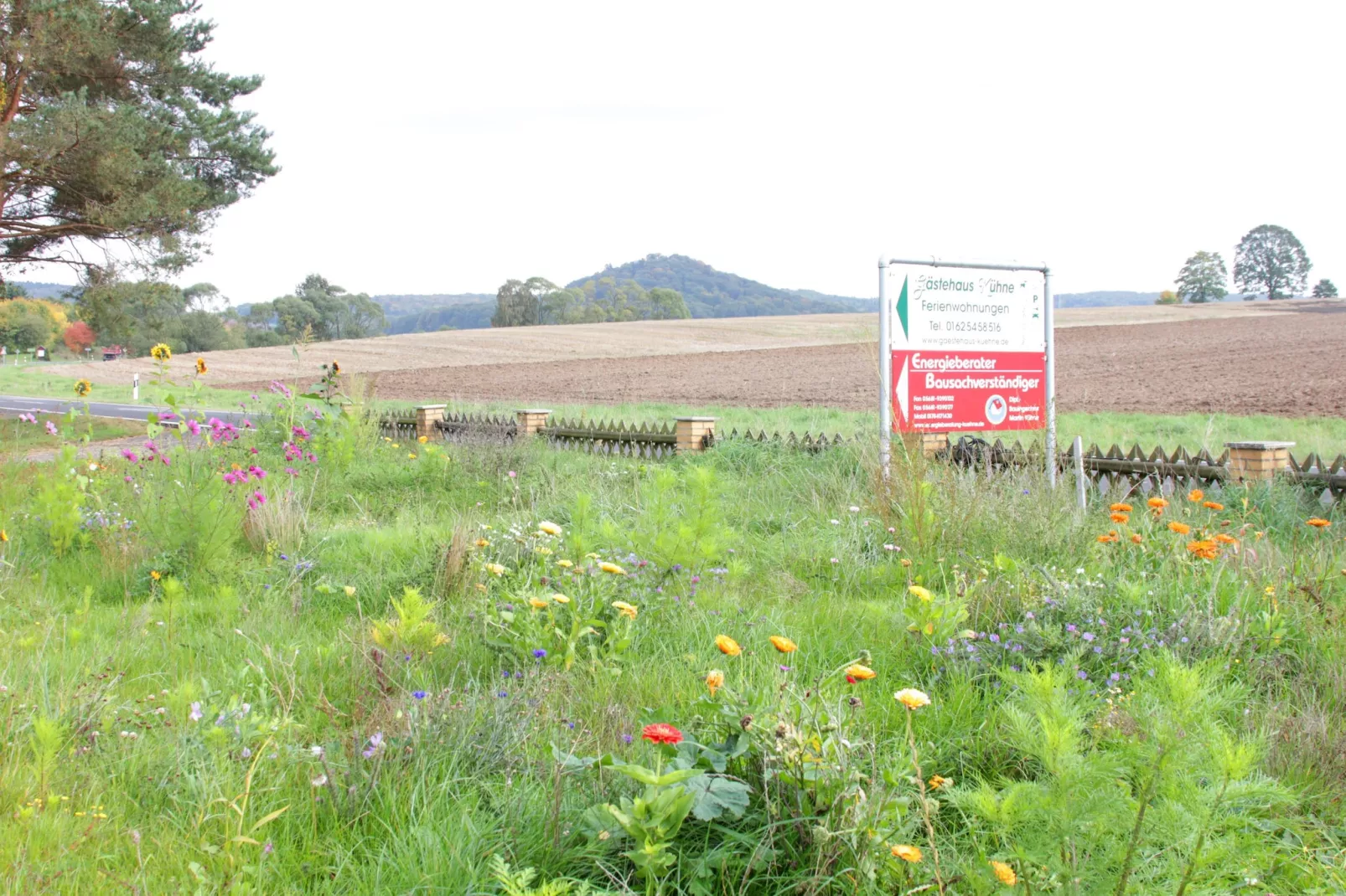 Gästehaus Kühne Fewo 1 OG-Gebieden zomer 1km