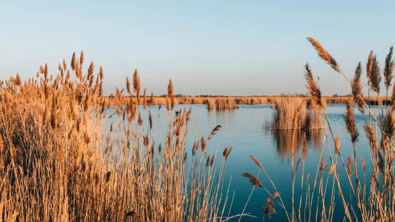 Guesthouse Spa Seeblick - Gebieden zomer 5km