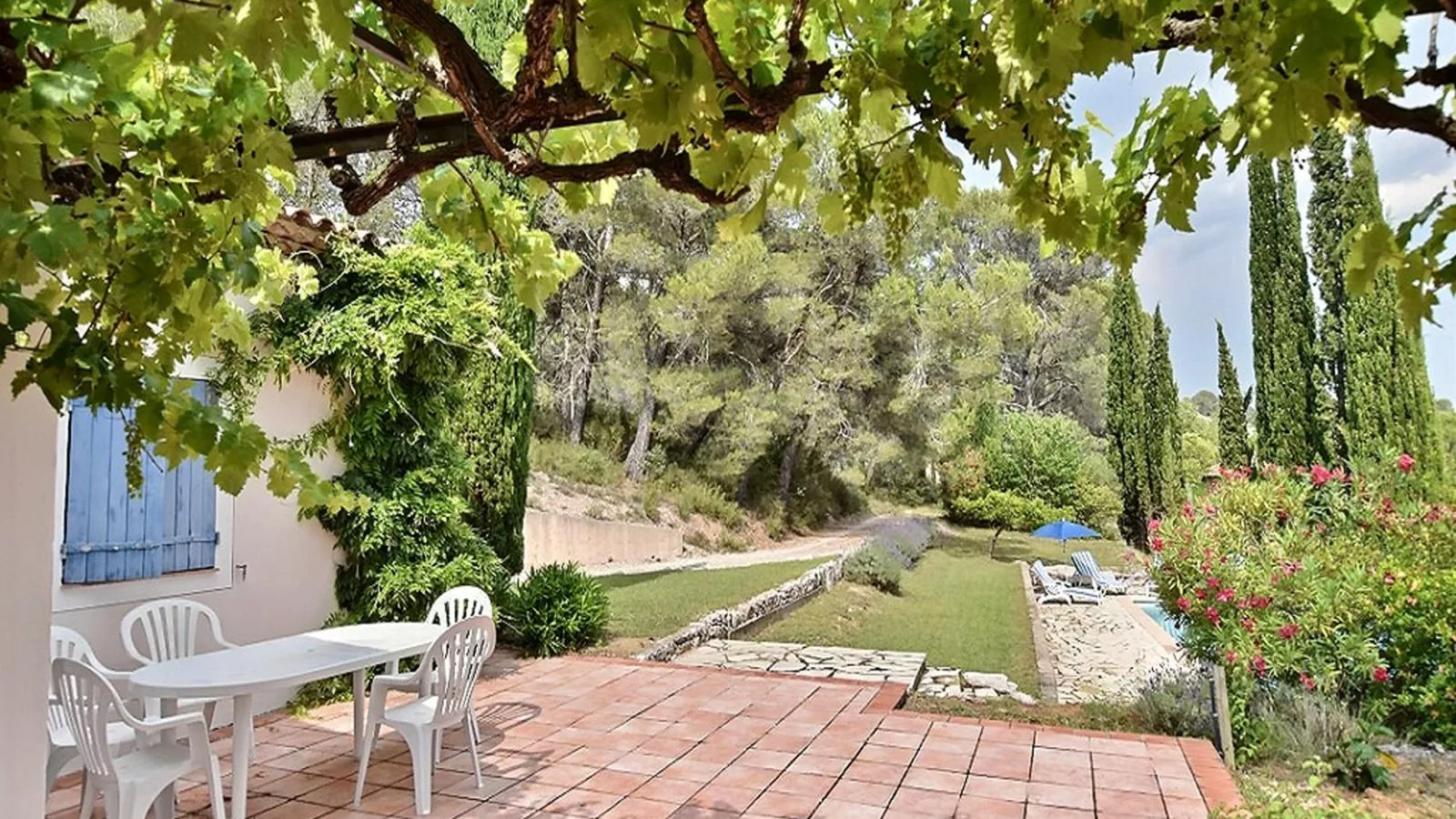 Lomandra - Terrasbalkon