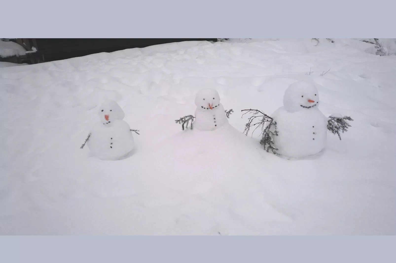 Wieselbau-Tuin winter