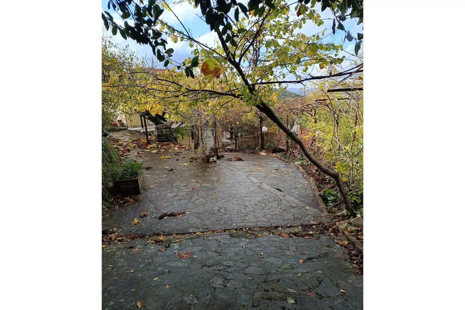 Vacation home Kakkos - Gebieden zomer 5km