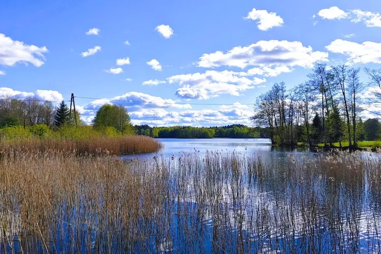 Apartments Rekowo 30 qm - Gebieden zomer 1km