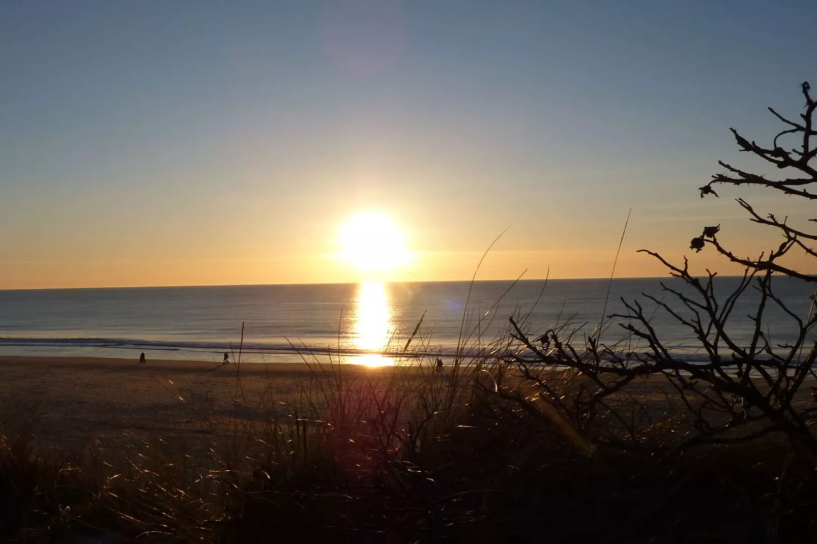 41327-Gebieden zomer 5km