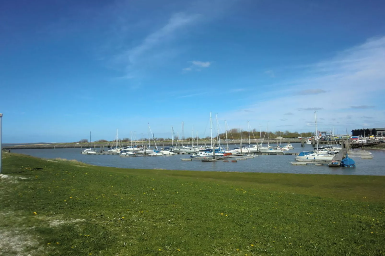 55576-Buitenkant zomer