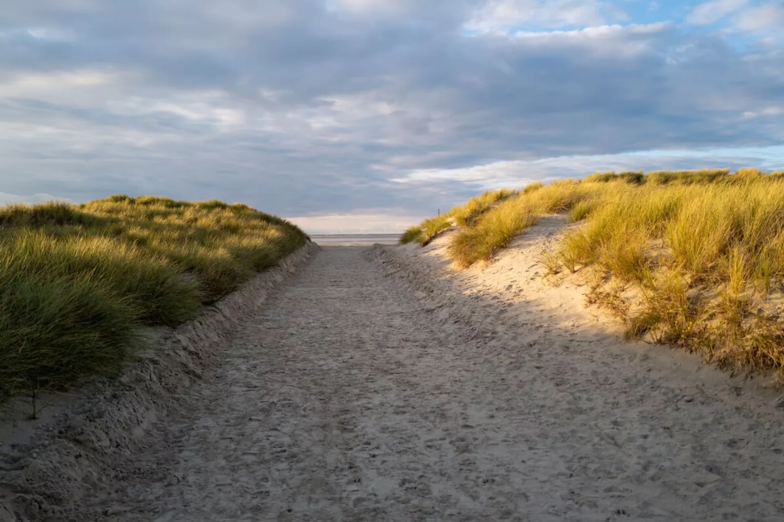 377693 - Gebieden zomer 5km