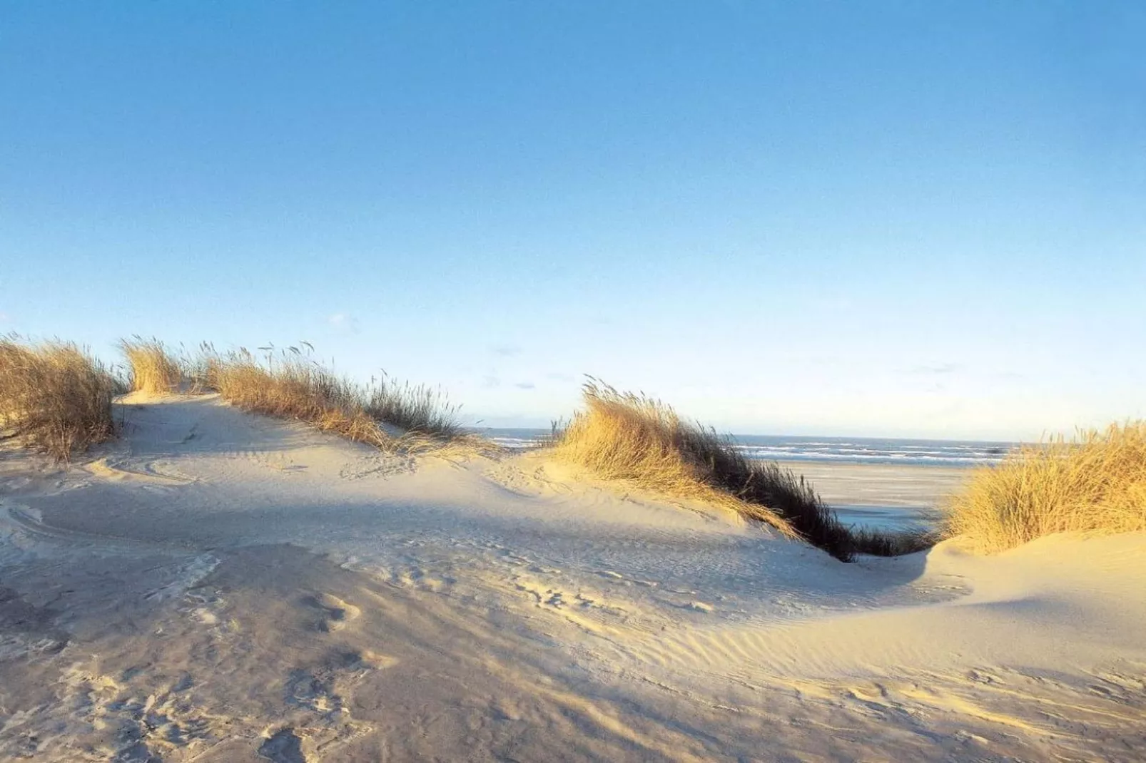 69602-Gebieden zomer 5km
