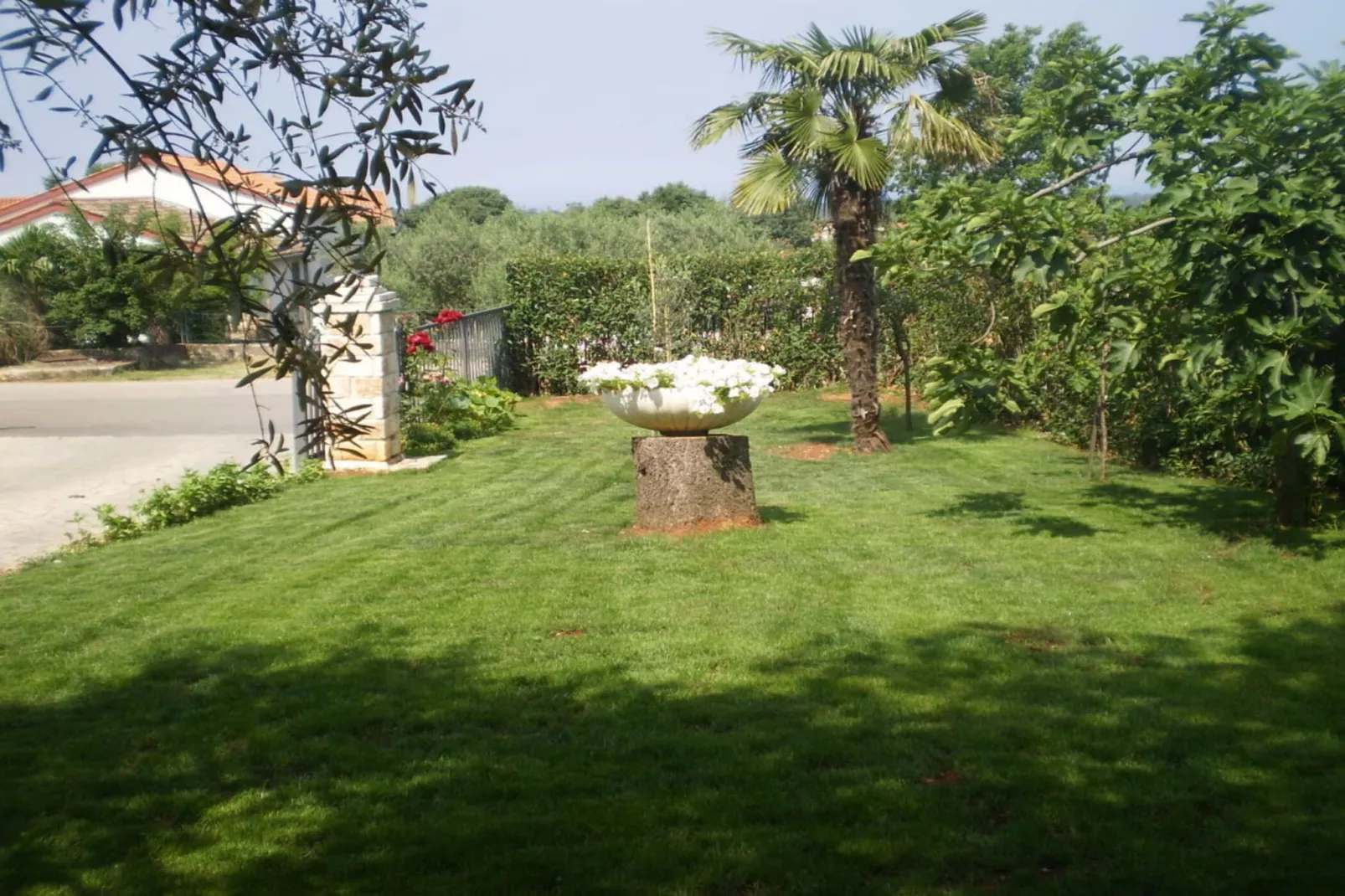 Licul Modern retreat-Tuinen zomer