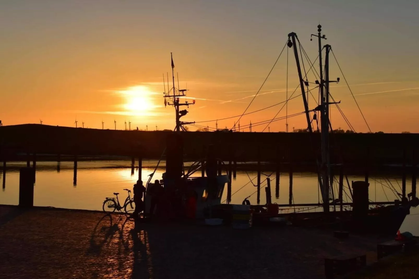 352708-Gebieden zomer 5km
