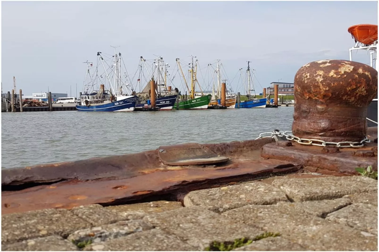 271353 - Image-tags.water view