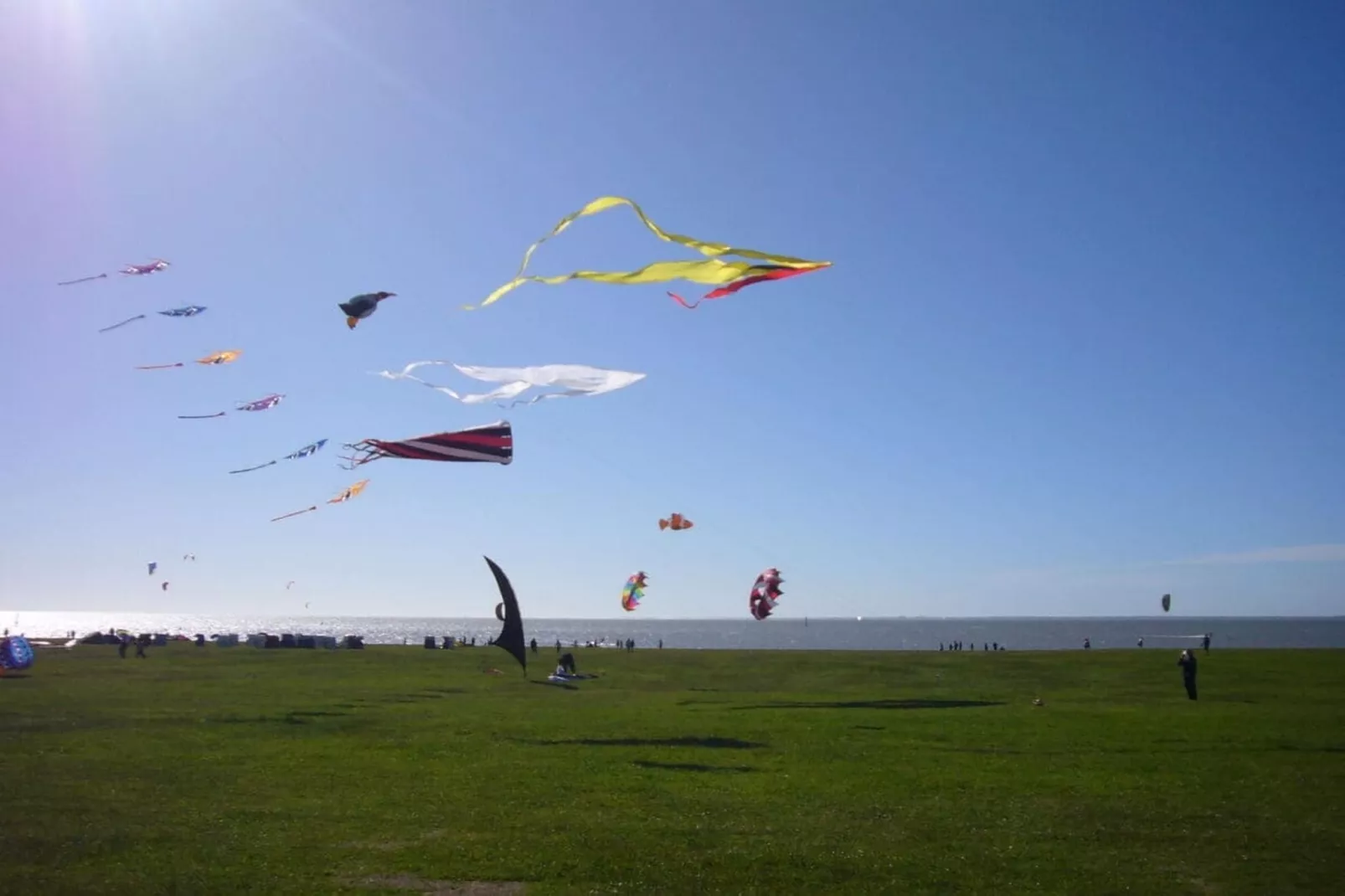 50151-Gebieden zomer 5km