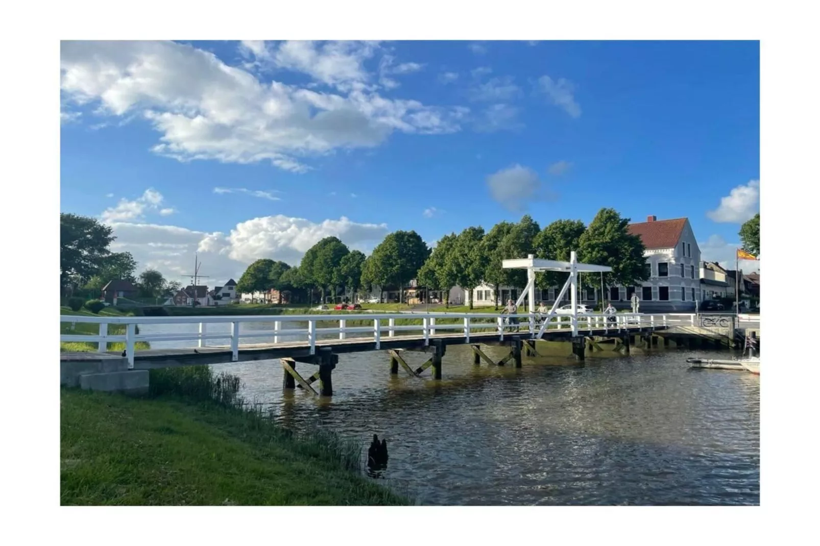 343208-Gebieden zomer 5km