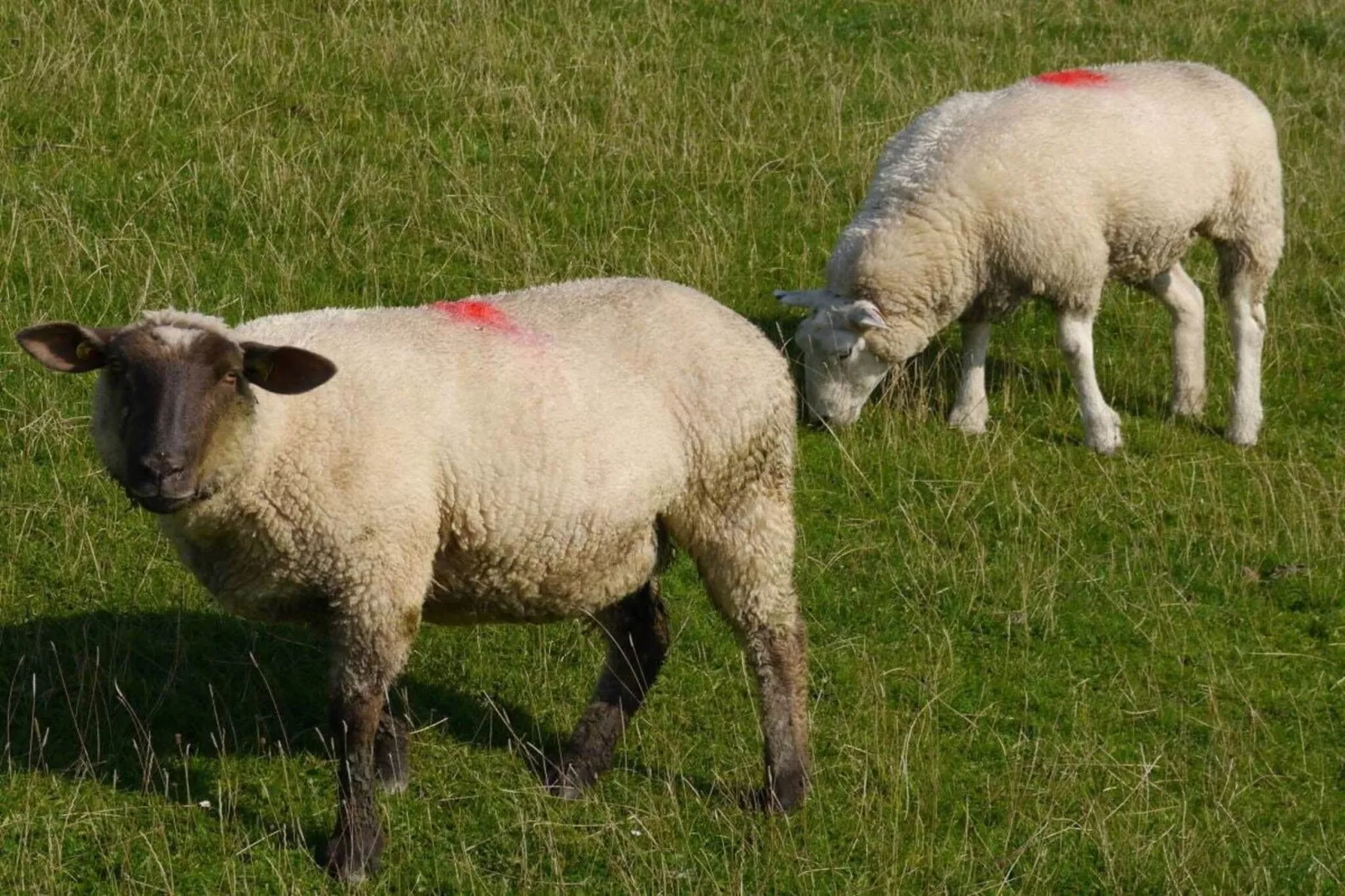 108373 - Gebieden zomer 5km