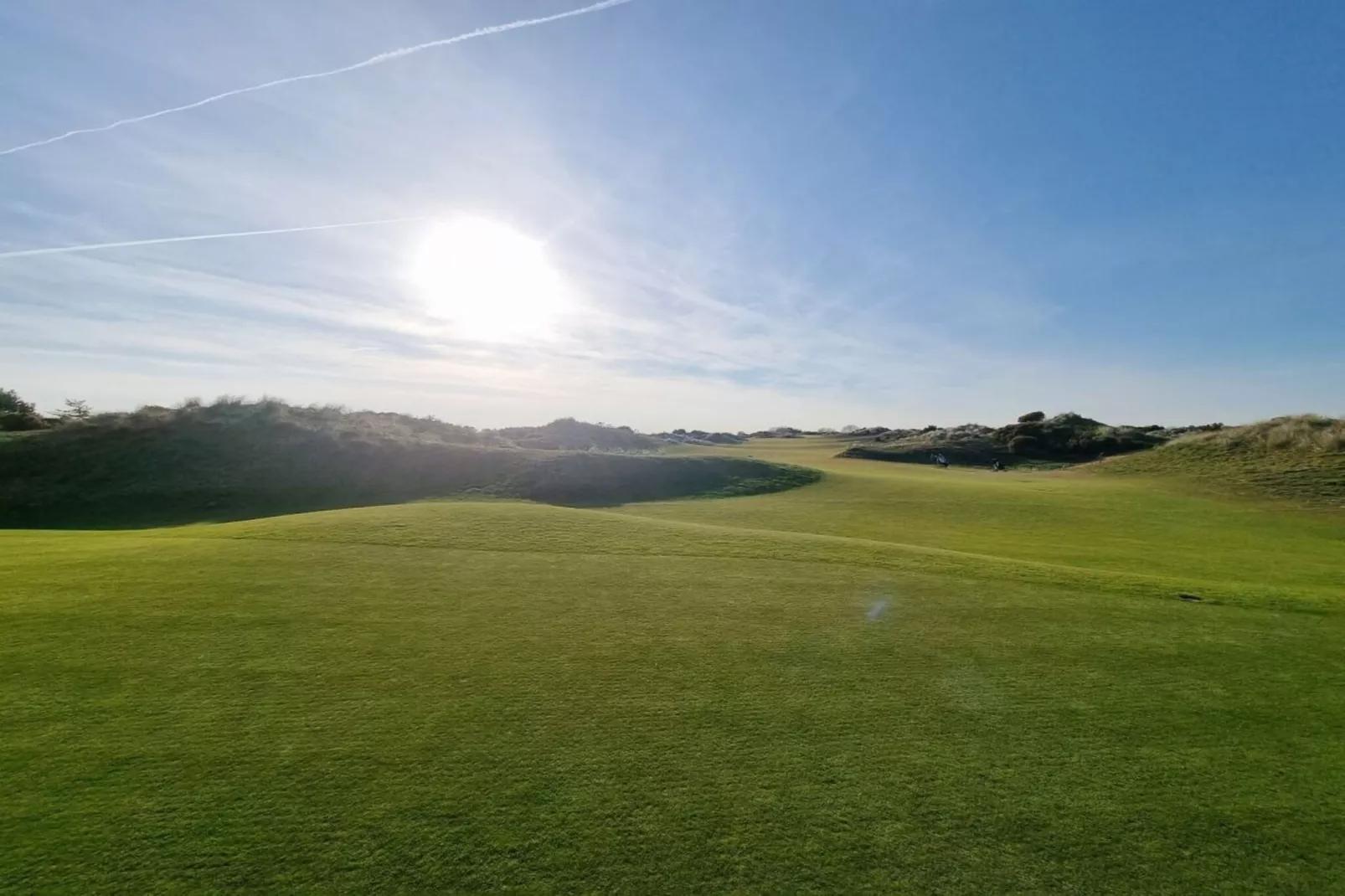 130478-Gebieden zomer 5km