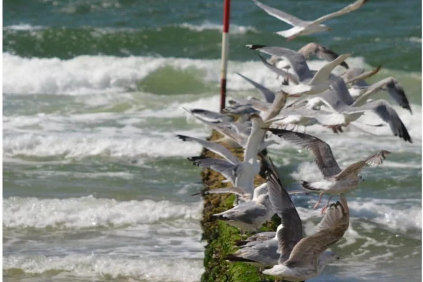 190721-Buitenkant zomer