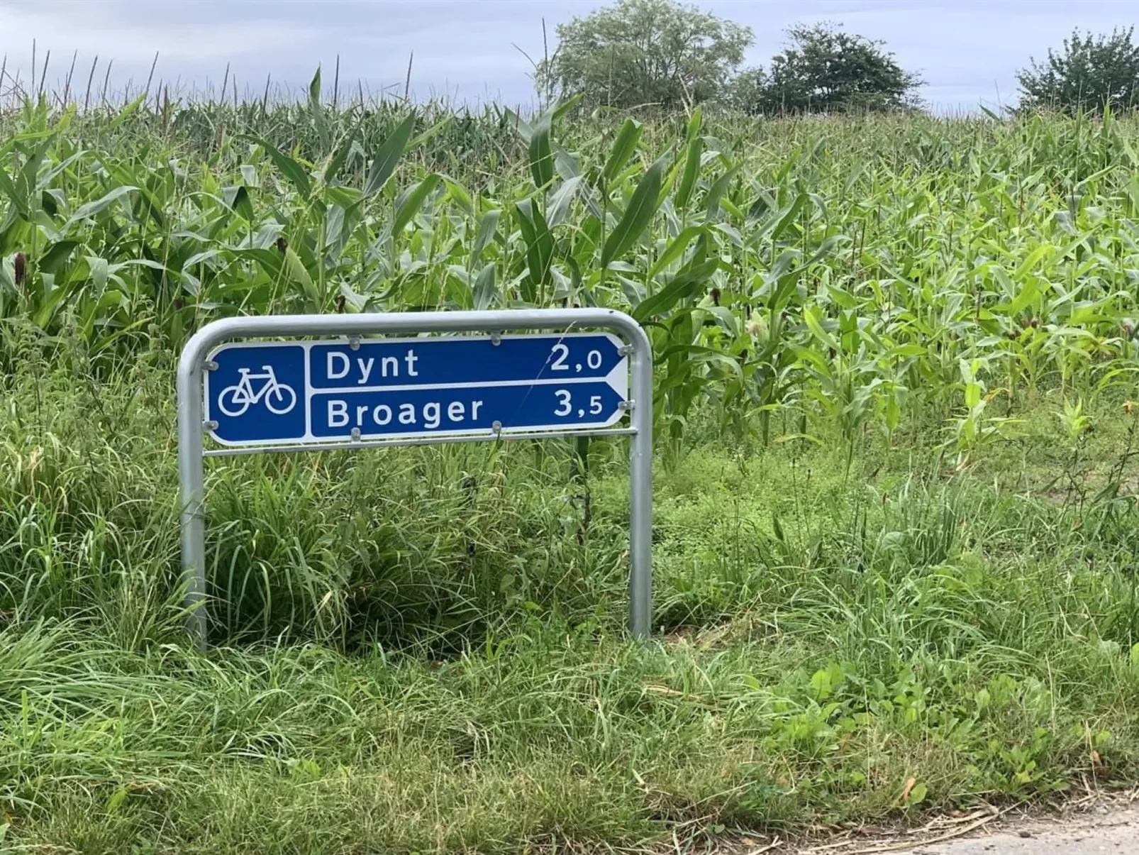 "Yorik" - 1.6km from the sea-Buiten