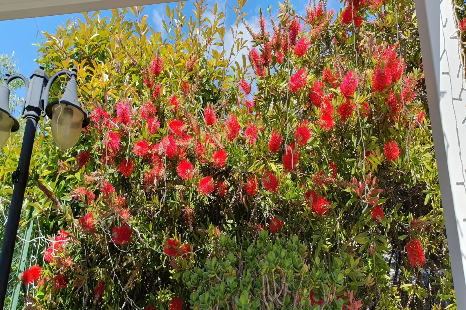 Apartment in einer charmanten Villa mit Meerblick Kreidl-Sfeer