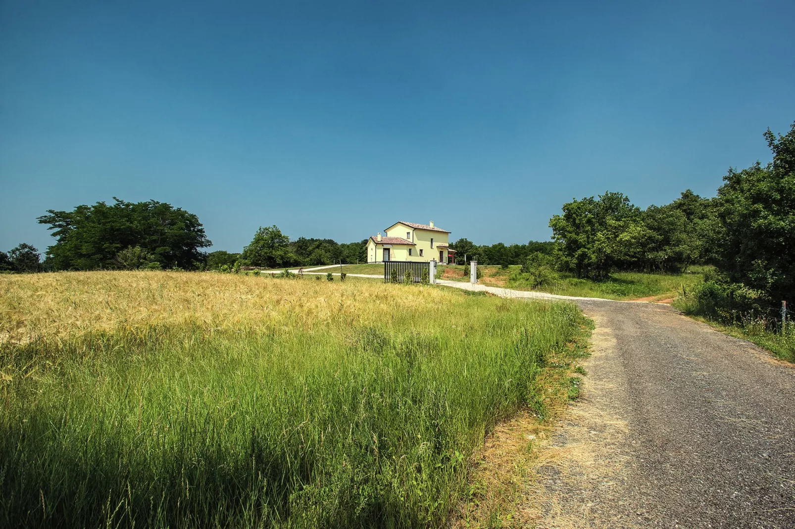 Villa Frankovici-Gebieden zomer 1km