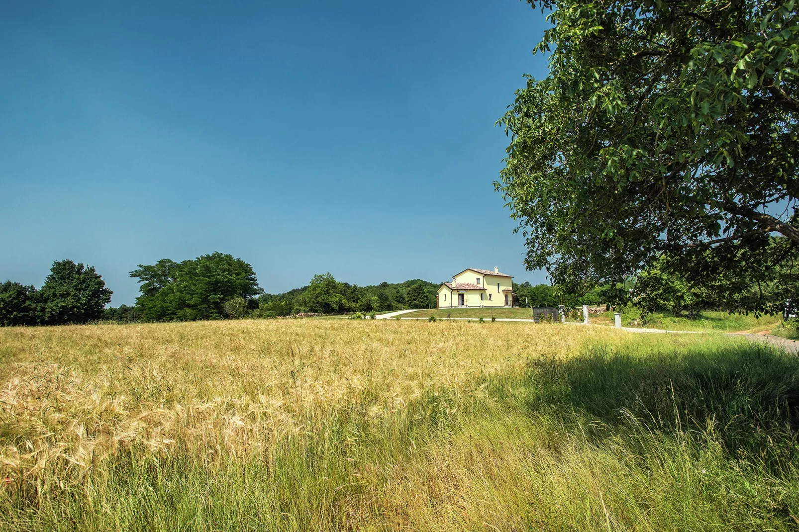 Villa Frankovici-Gebieden zomer 1km