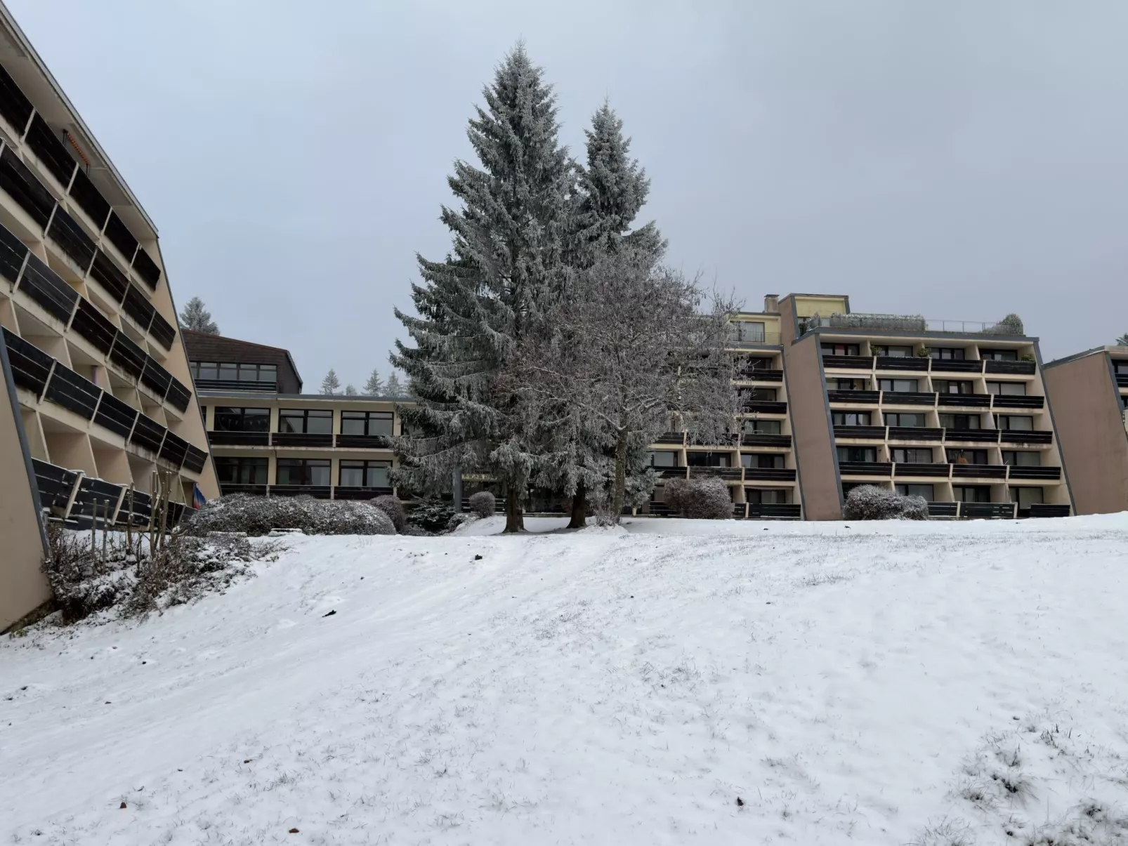 Apartment Luna - Image-tags.info