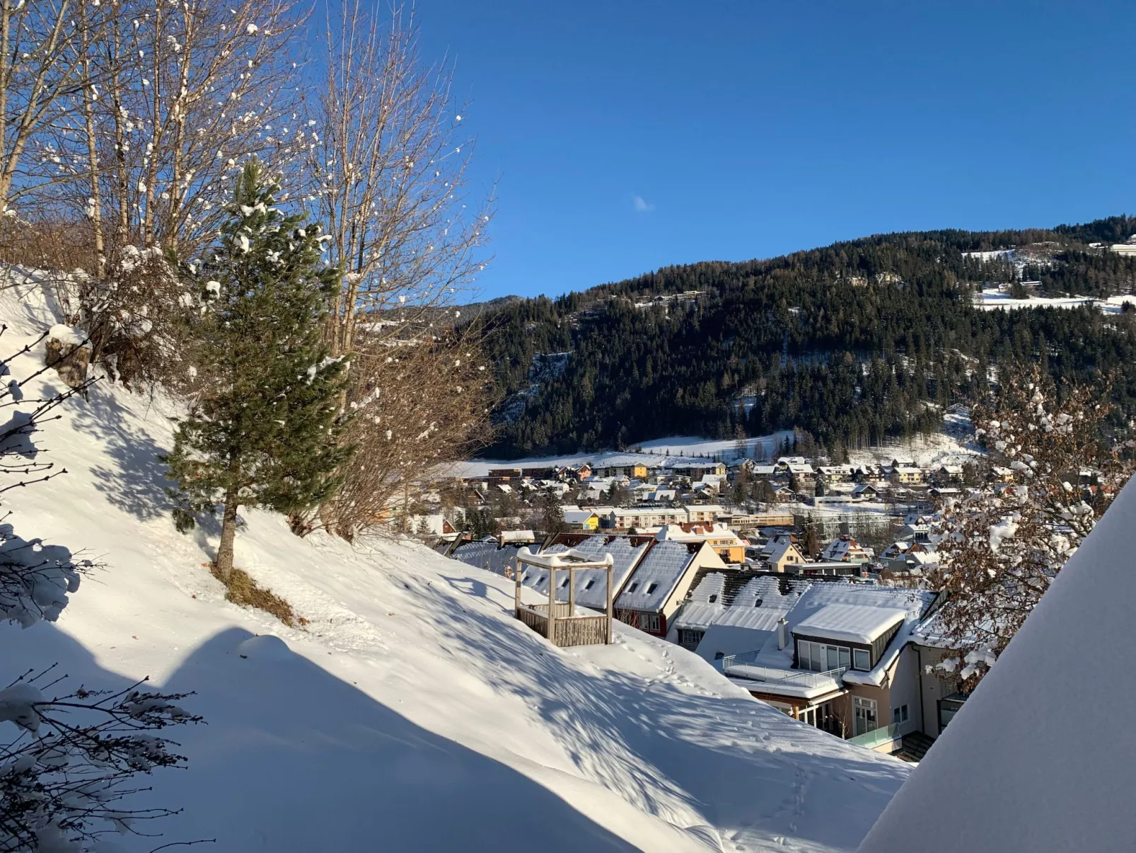 Chalet Elsa Murau - Buiten