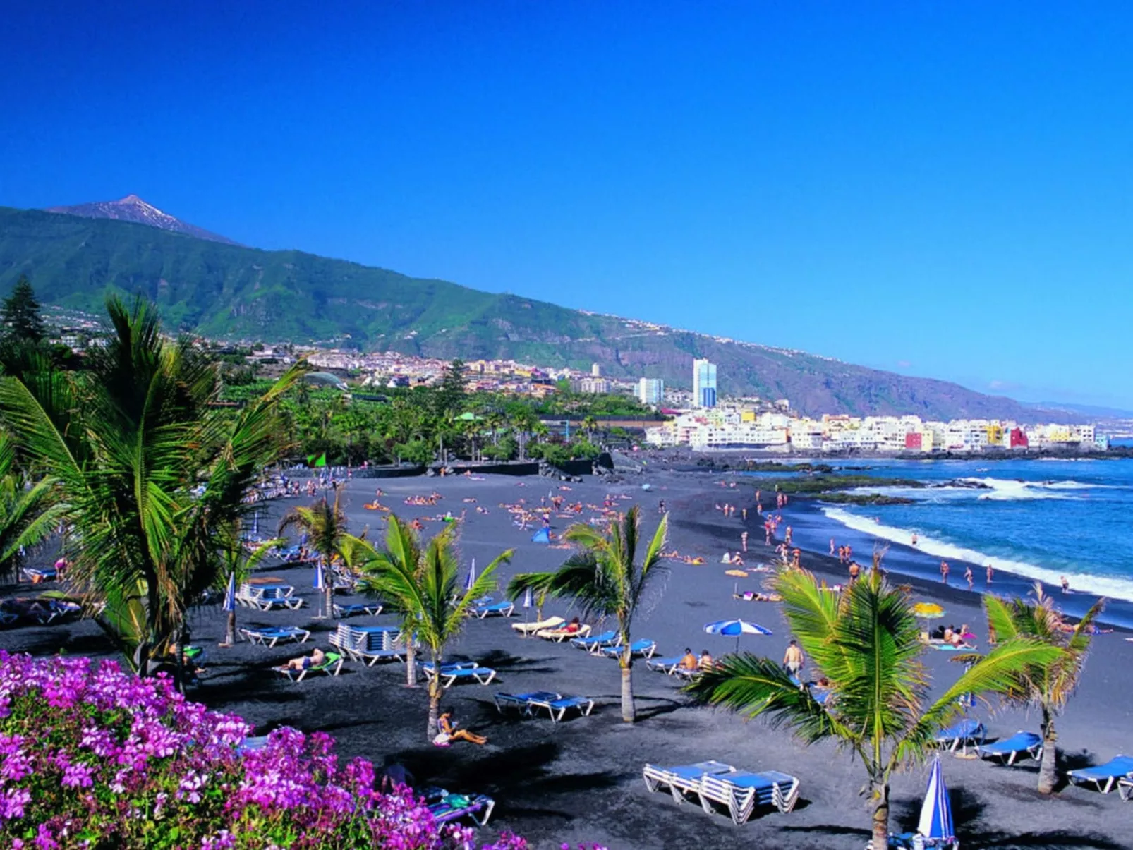 Fantastico 1 - Image-tags.info