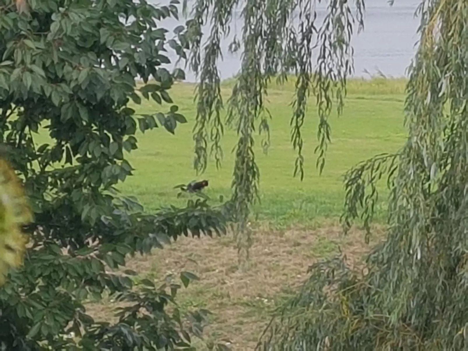 Kontor - Image-tags.info